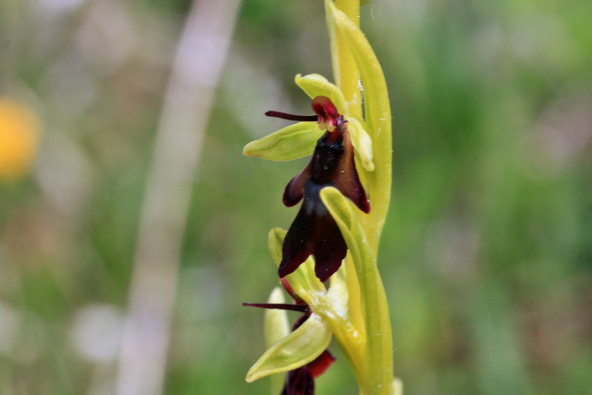 2015_05_12_00019372p_Bildgr��e �ndern