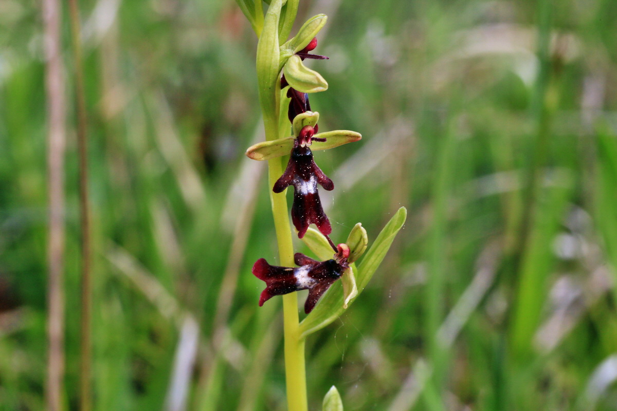 2015_05_12_00019375p_Bildgr��e �ndern