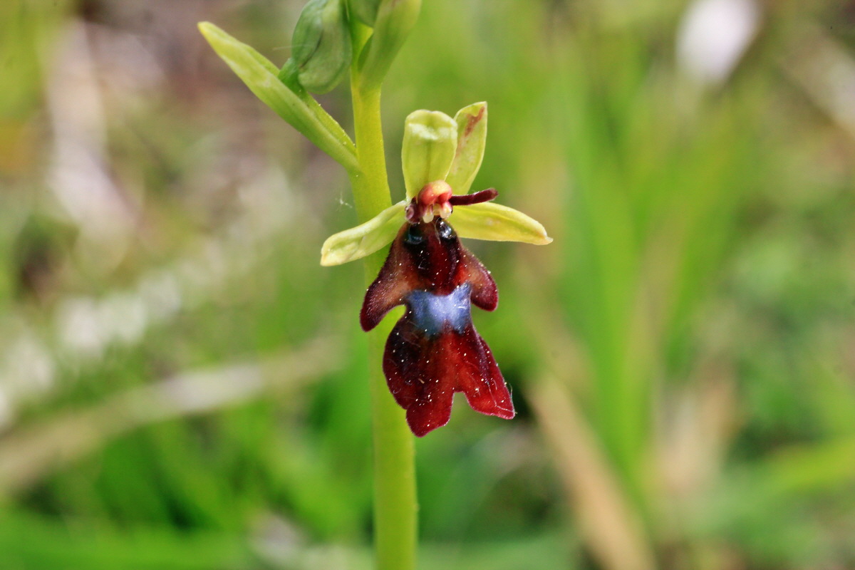 2015_05_12_00019377p_Bildgr��e �ndern