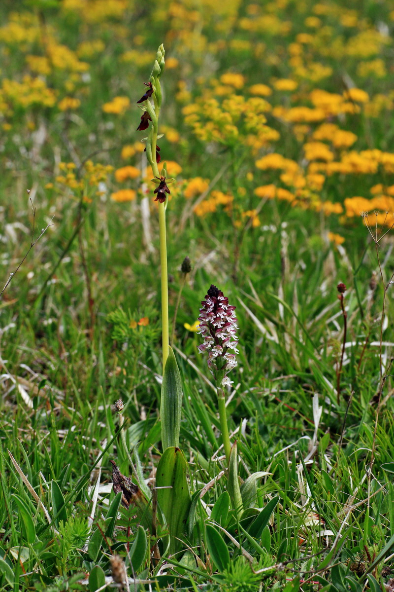 2015_05_12_00019379p_Bildgr��e �ndern