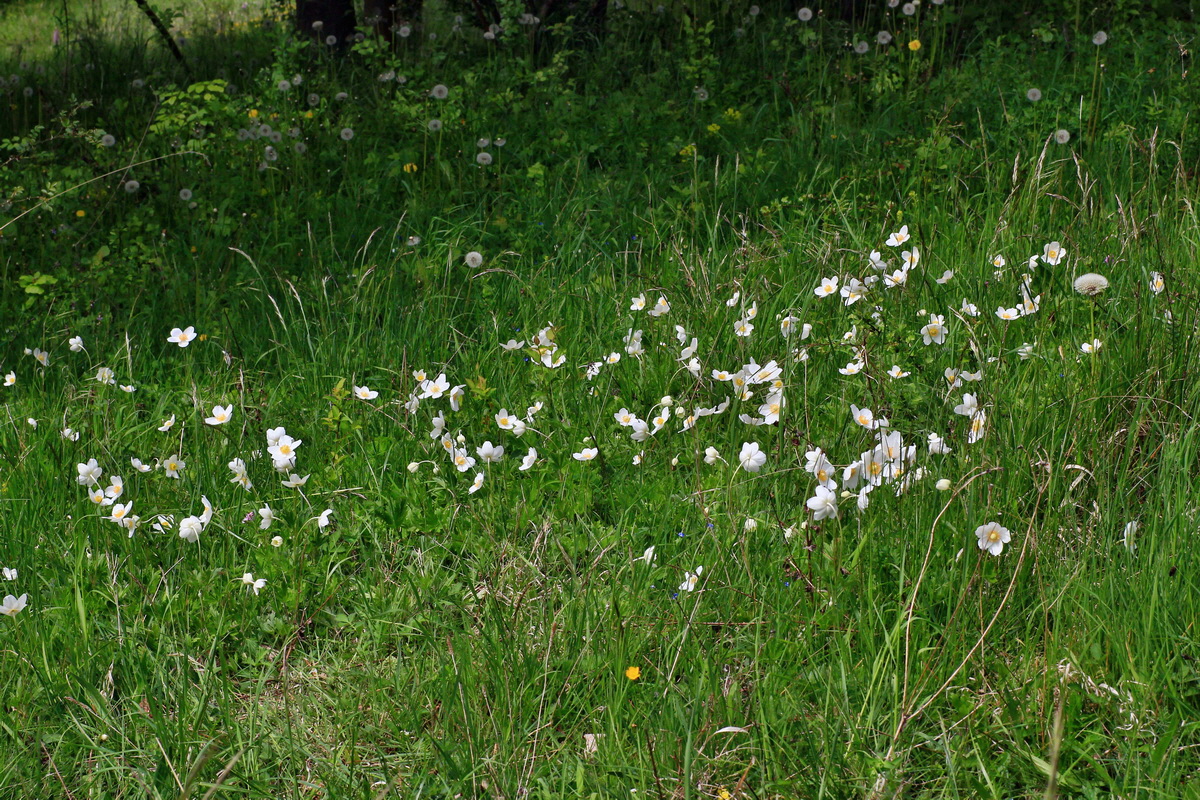 2015_05_12_00019383p_Bildgr��e �ndern