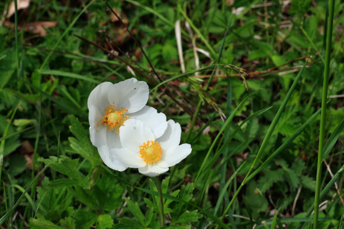 2015_05_12_00019385p_Bildgr��e �ndern