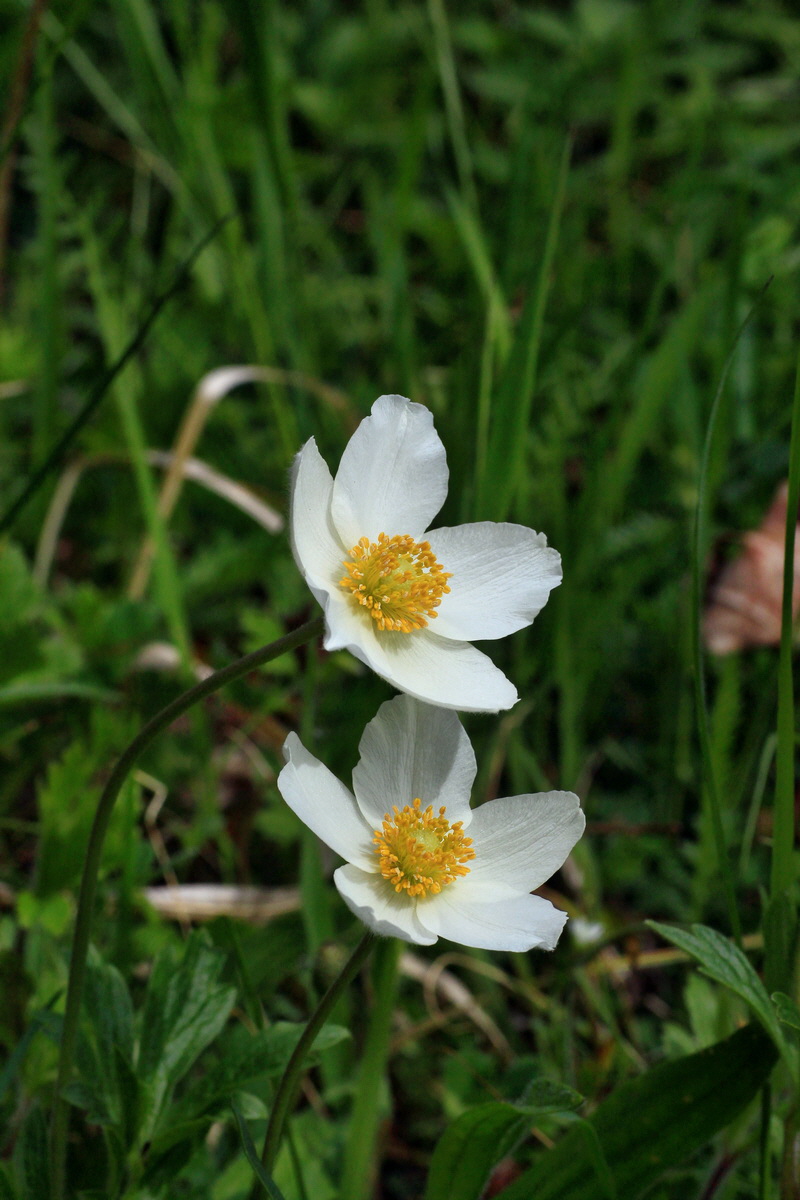 2015_05_12_00019392p_Bildgr��e �ndern