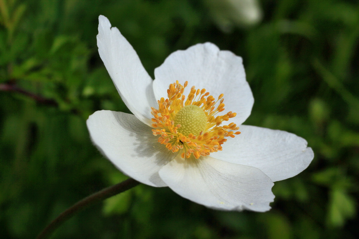 2015_05_12_00019393p_Bildgr��e �ndern