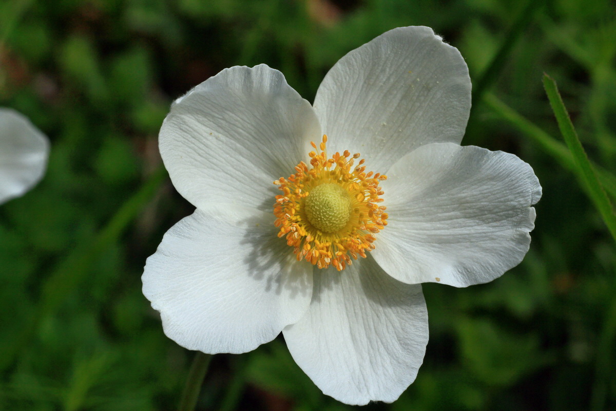 2015_05_12_00019397p_Bildgr��e �ndern