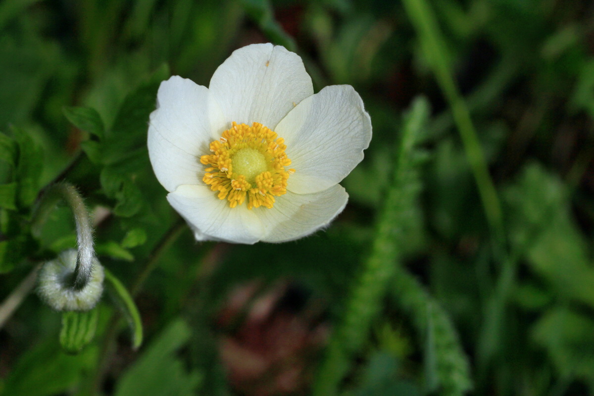 2015_05_12_00019398p_Bildgr��e �ndern