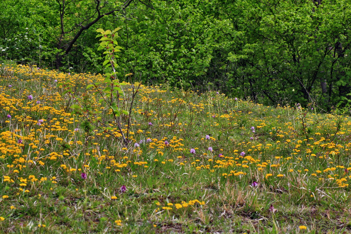 2015_05_12_00019407p_Bildgr��e �ndern