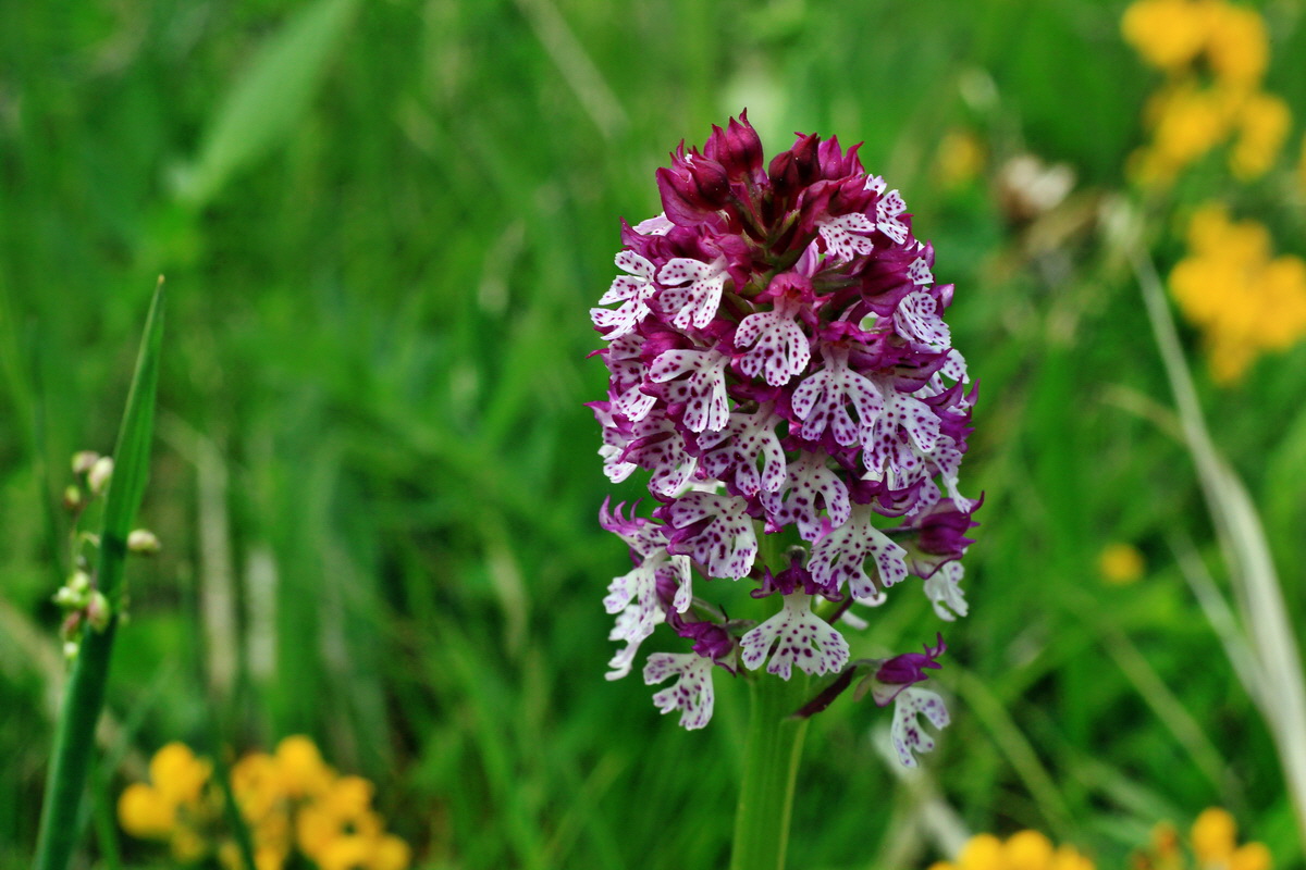 2015_05_12_00019410p_Bildgr��e �ndern