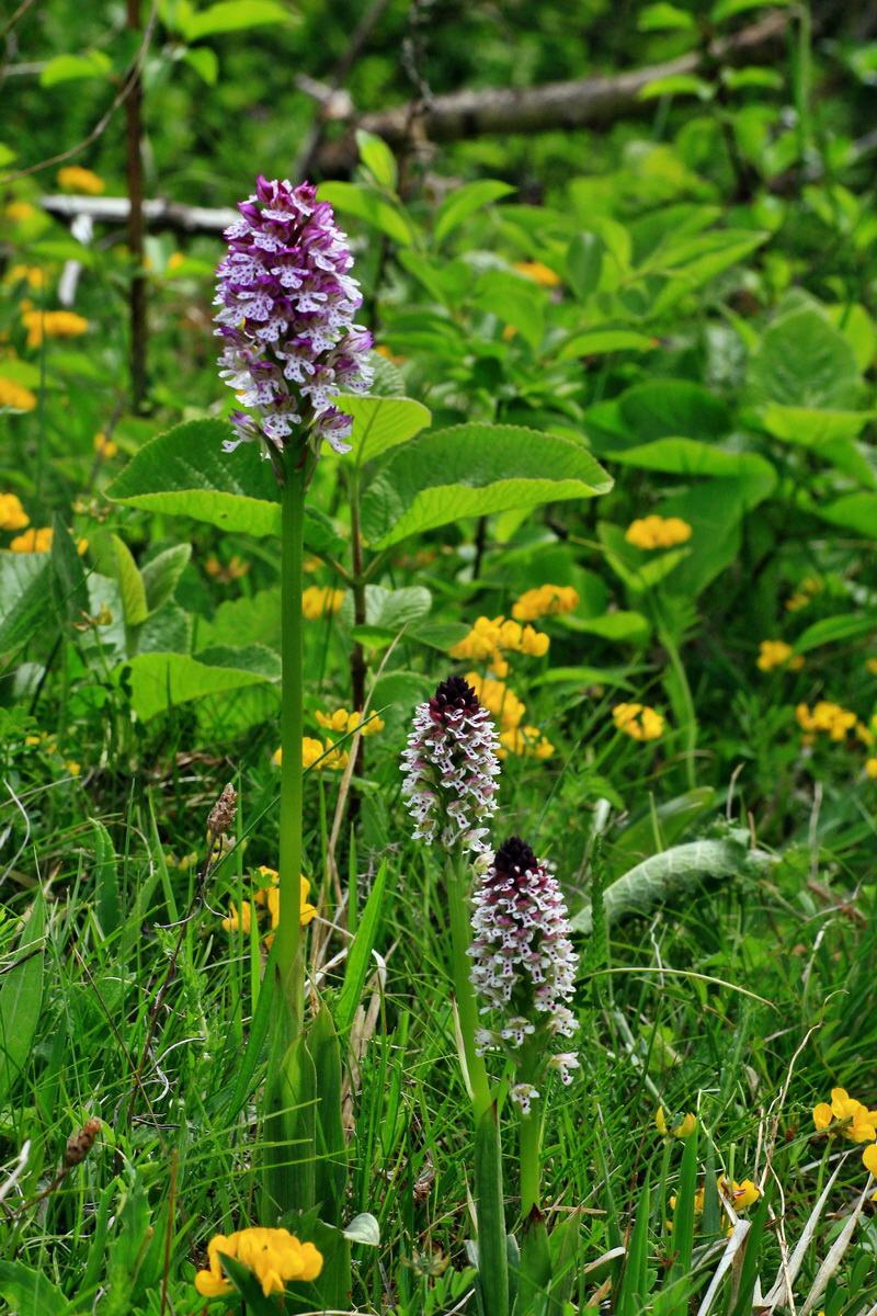 2015_05_12_00019416p_Bildgr��e �ndern