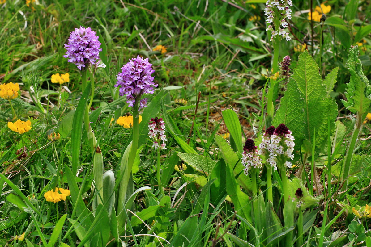 2015_05_12_00019419p_Bildgr��e �ndern