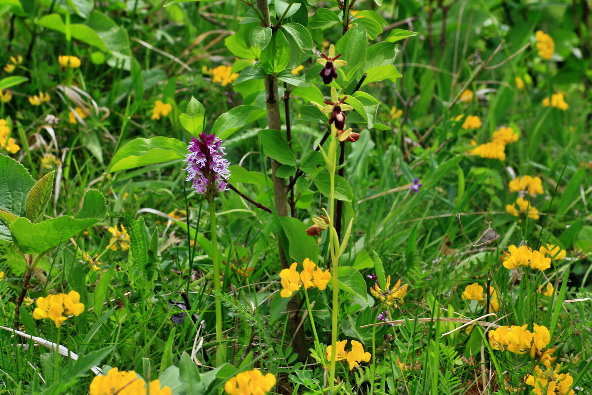 2015_05_12_00019425p_Bildgr��e �ndern