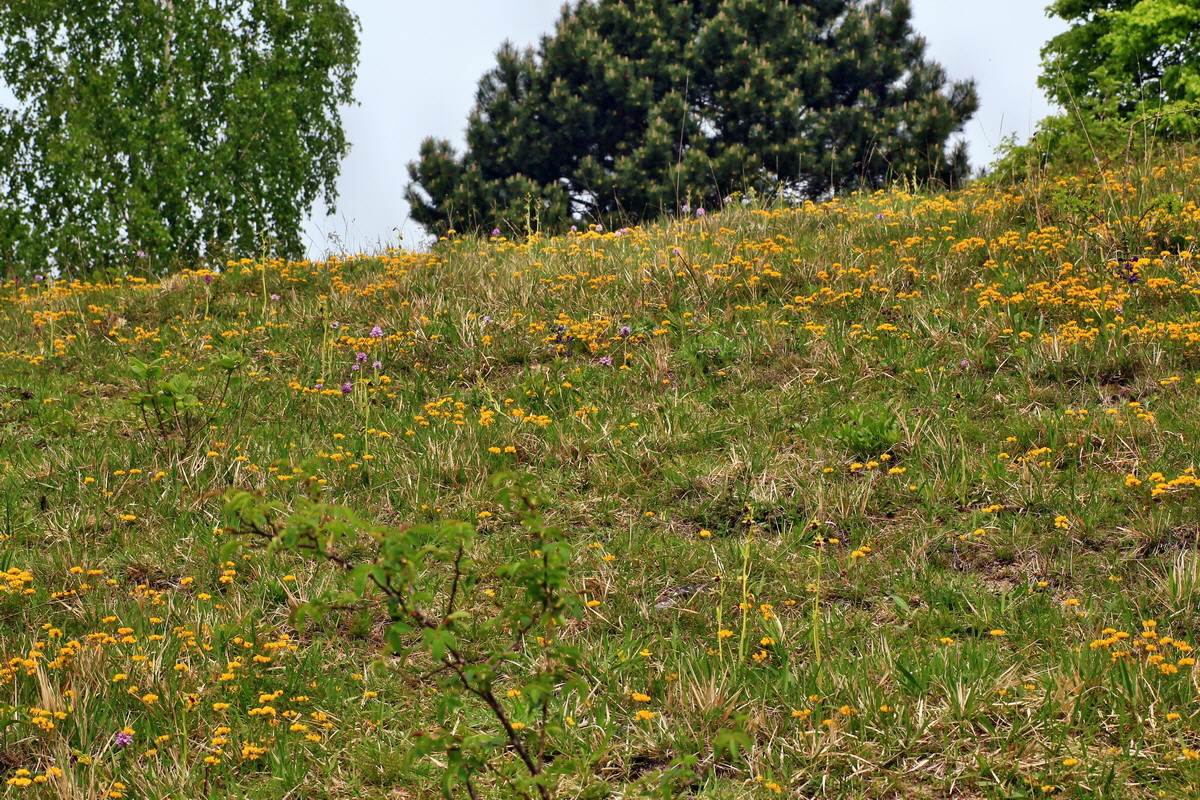 2015_05_12_00019426p_Bildgr��e �ndern