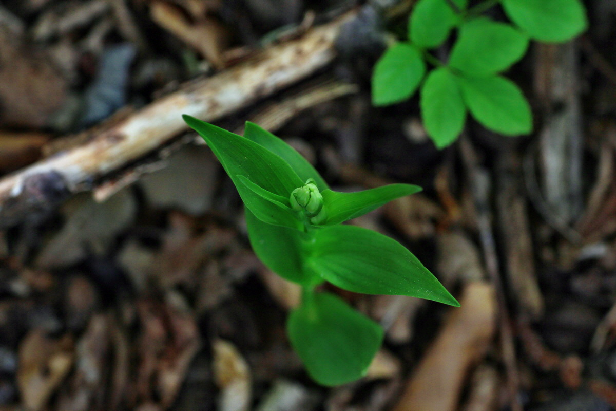 2015_05_12_00019428p_Bildgr��e �ndern