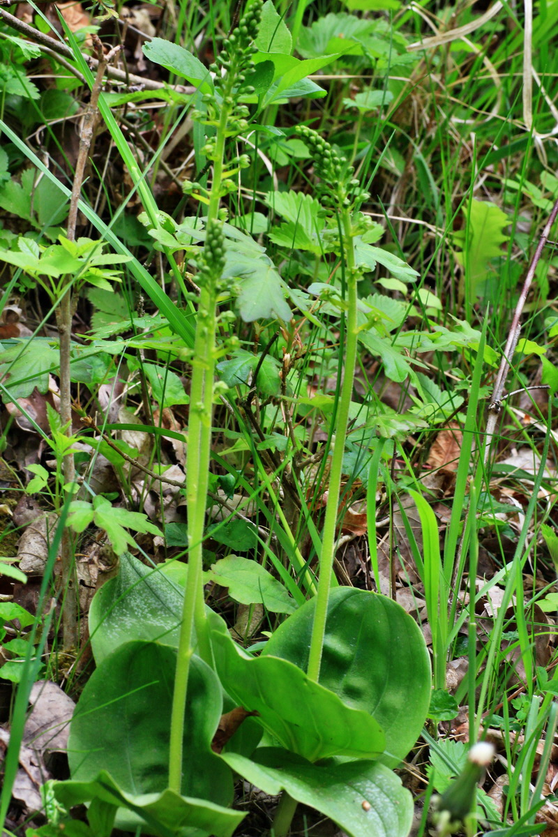 2015_05_12_00019432p_Bildgr��e �ndern