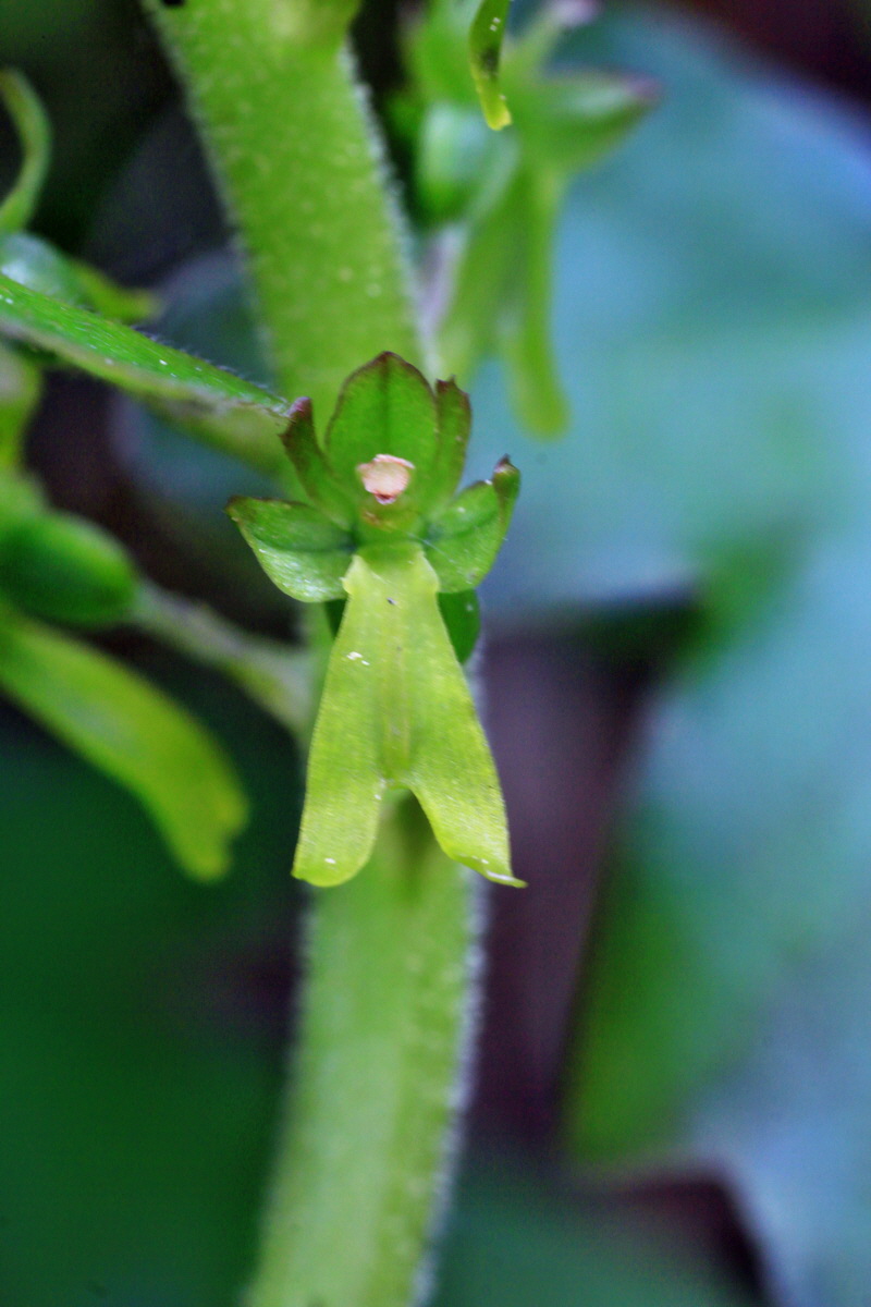 2015_05_12_00019435p_Bildgr��e �ndern