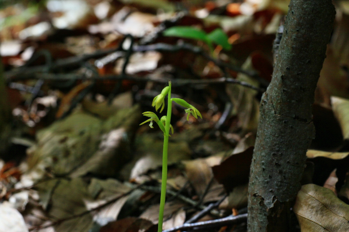 2015_05_12_00019438p_Bildgr��e �ndern