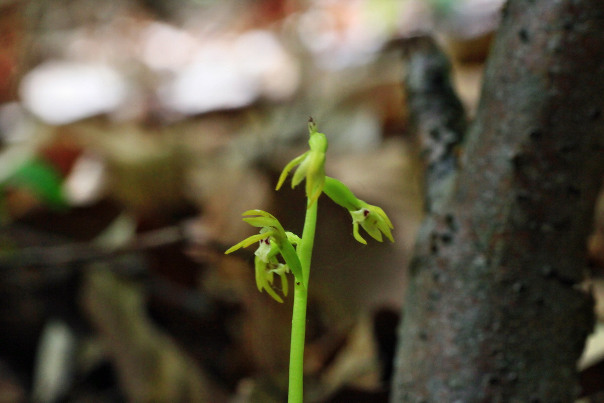 2015_05_12_00019443p_Bildgr��e �ndern