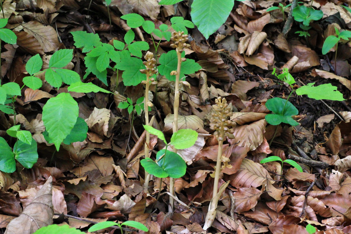 2015_05_12_00019445p_Bildgr��e �ndern