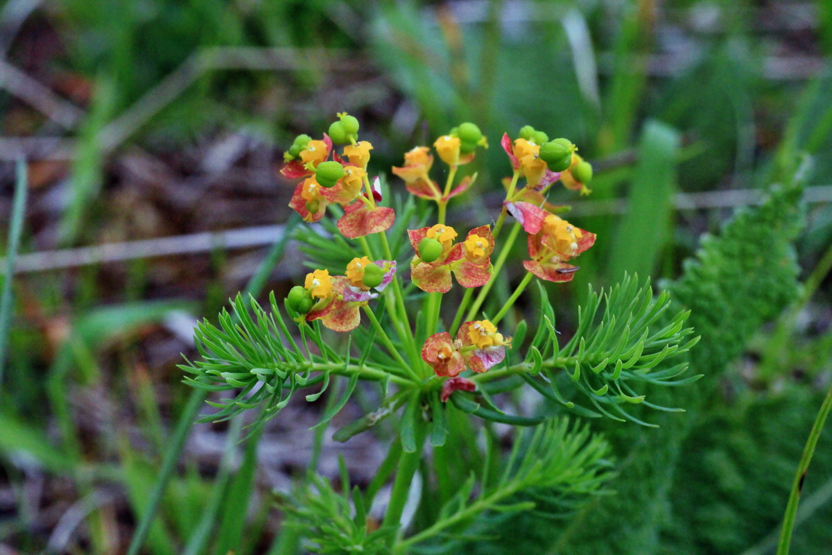 2015_05_14_00019447p_Bildgr��e �ndern