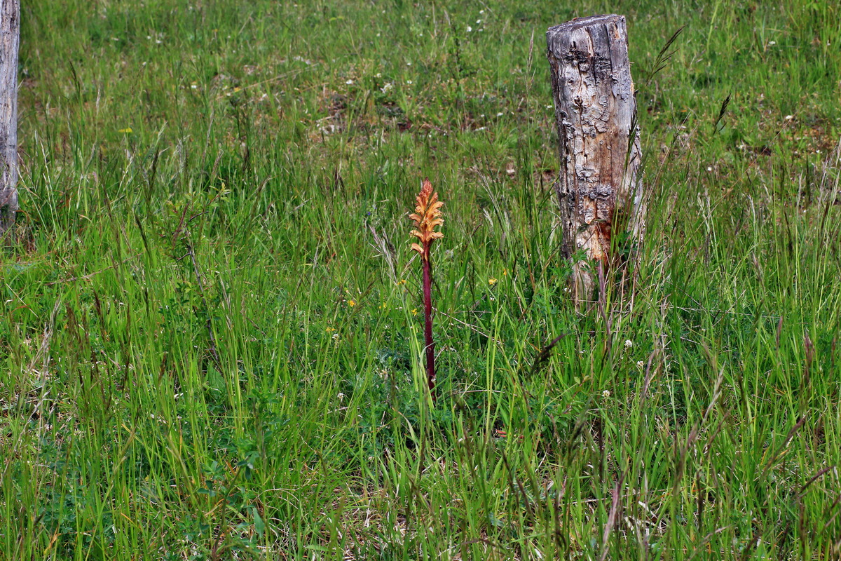 2015_05_14_00019453p_Bildgr��e �ndern