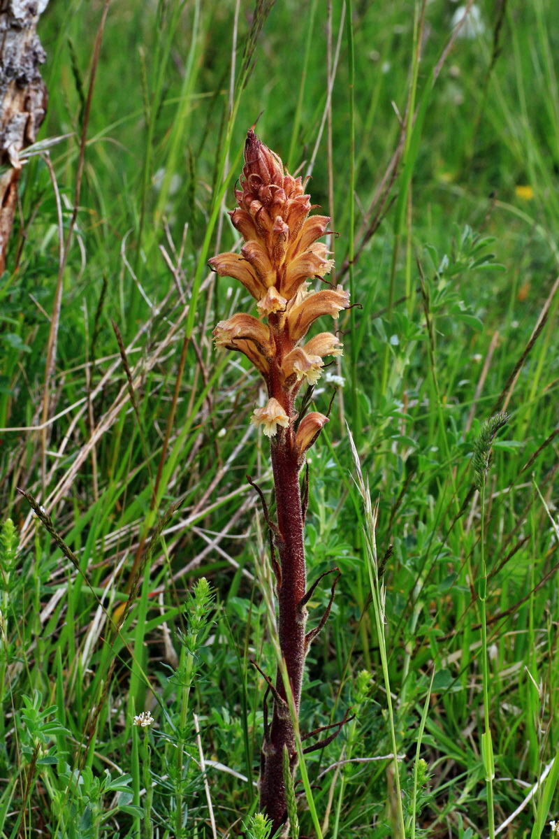 2015_05_14_00019455p_Bildgr��e �ndern