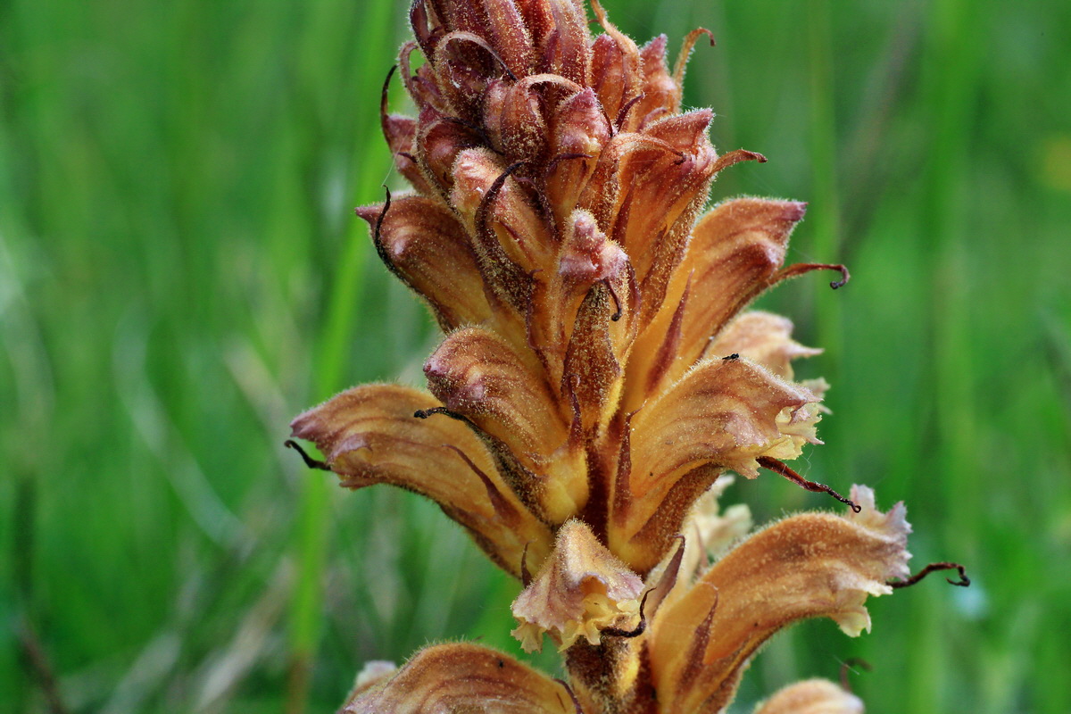 2015_05_14_00019458p_Bildgr��e �ndern