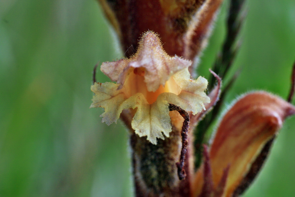 2015_05_14_00019462p_Bildgr��e �ndern