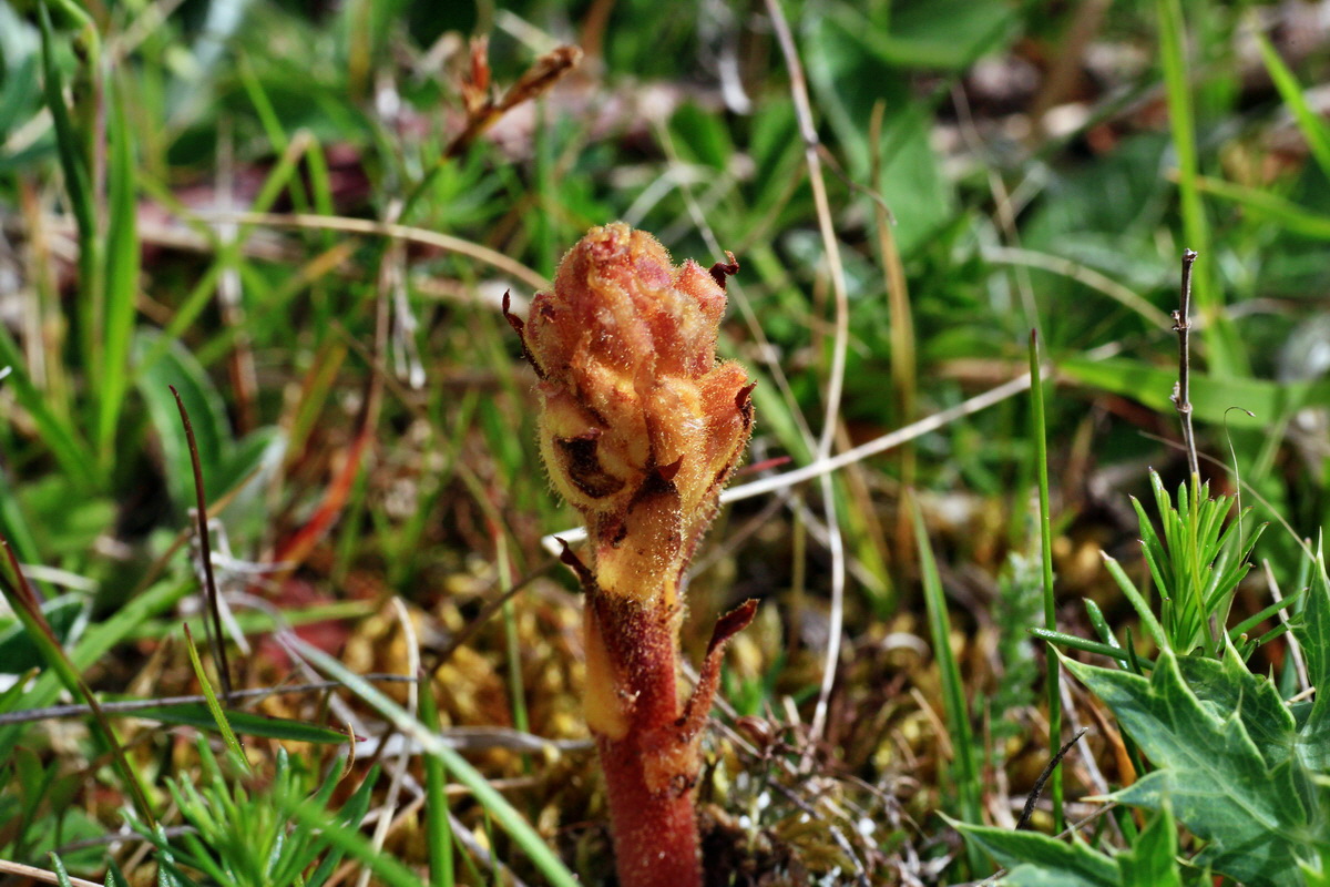 2015_05_14_00019467p_Bildgr��e �ndern