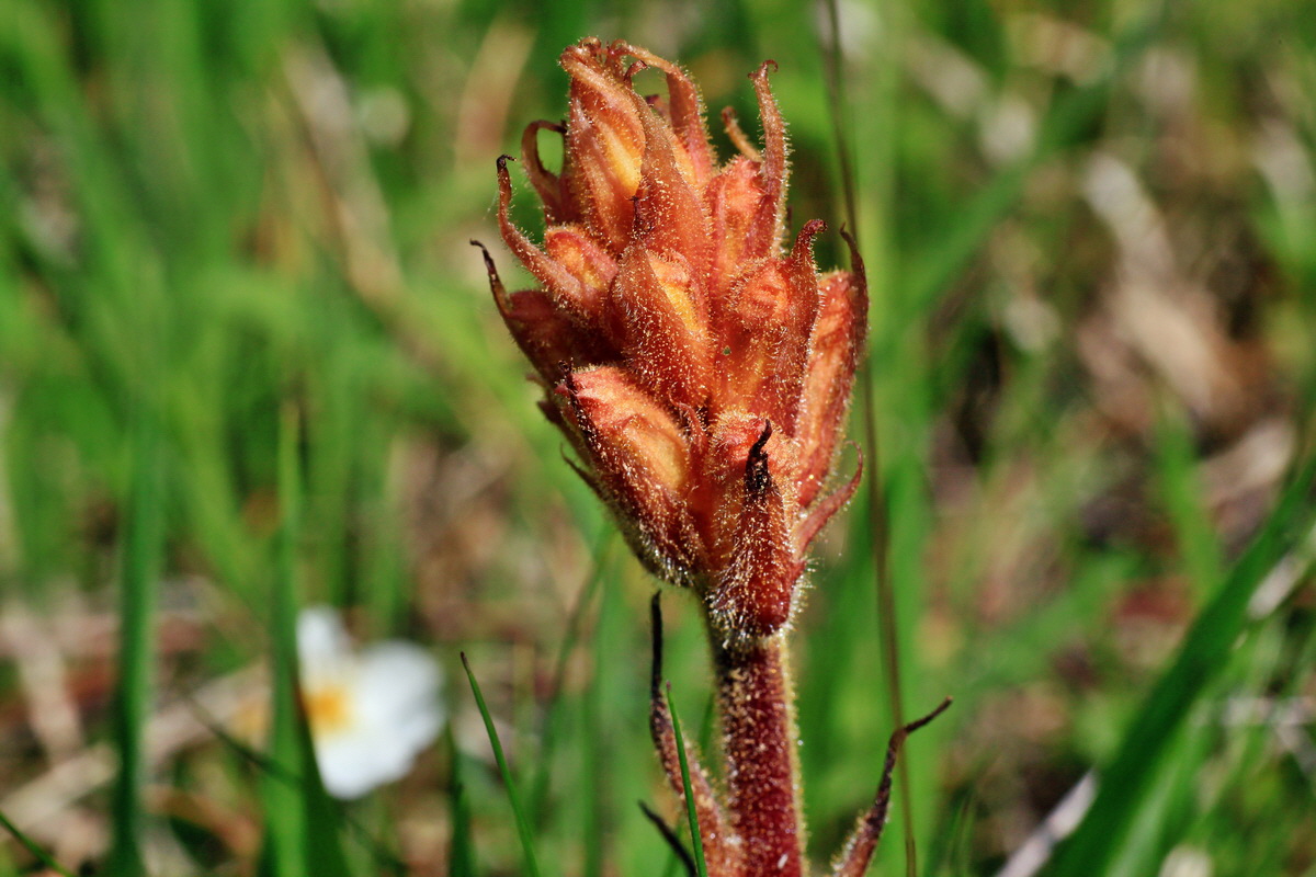 2015_05_14_00019470p_Bildgr��e �ndern