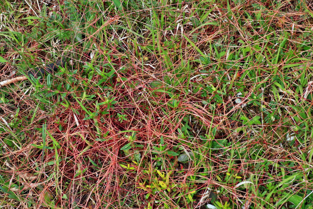 2015_05_14_00019471p_Bildgr��e �ndern