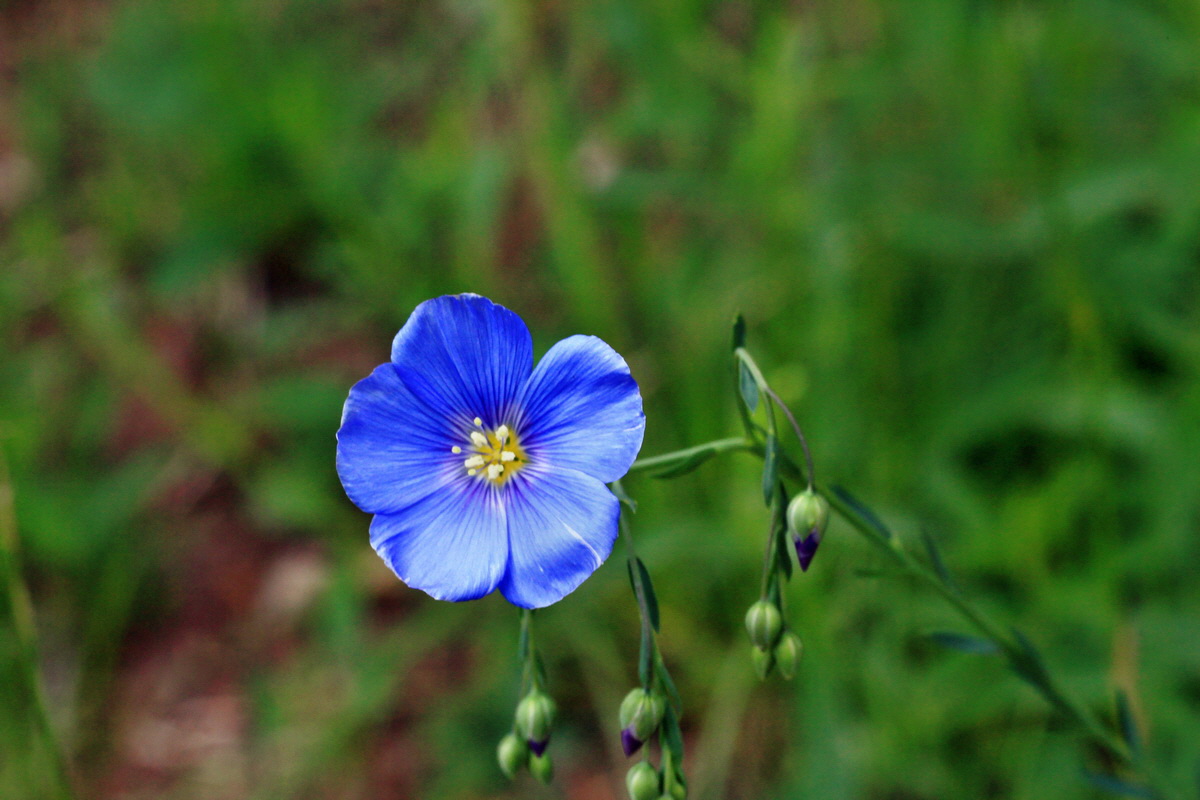 2015_05_14_00019476p_Bildgr��e �ndern