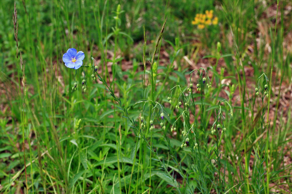 2015_05_14_00019477p_Bildgr��e �ndern