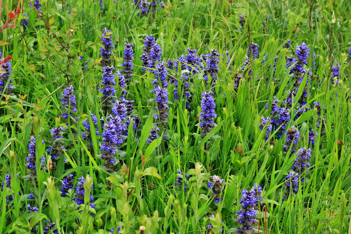 2015_05_14_00019480p_Bildgr��e �ndern