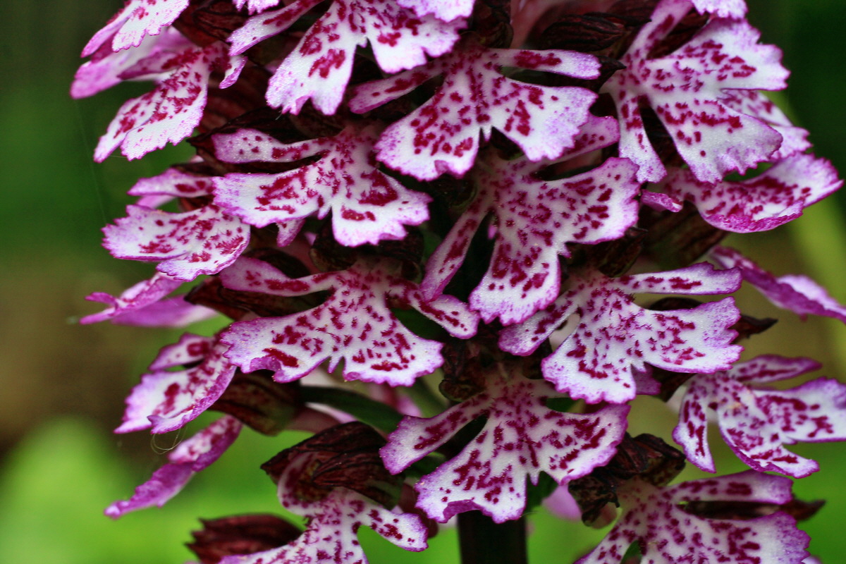 2015_05_14_00019483p_Bildgr��e �ndern