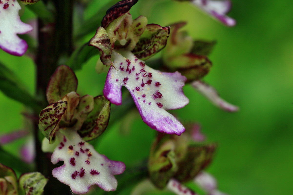 2015_05_14_00019484p_Bildgr��e �ndern