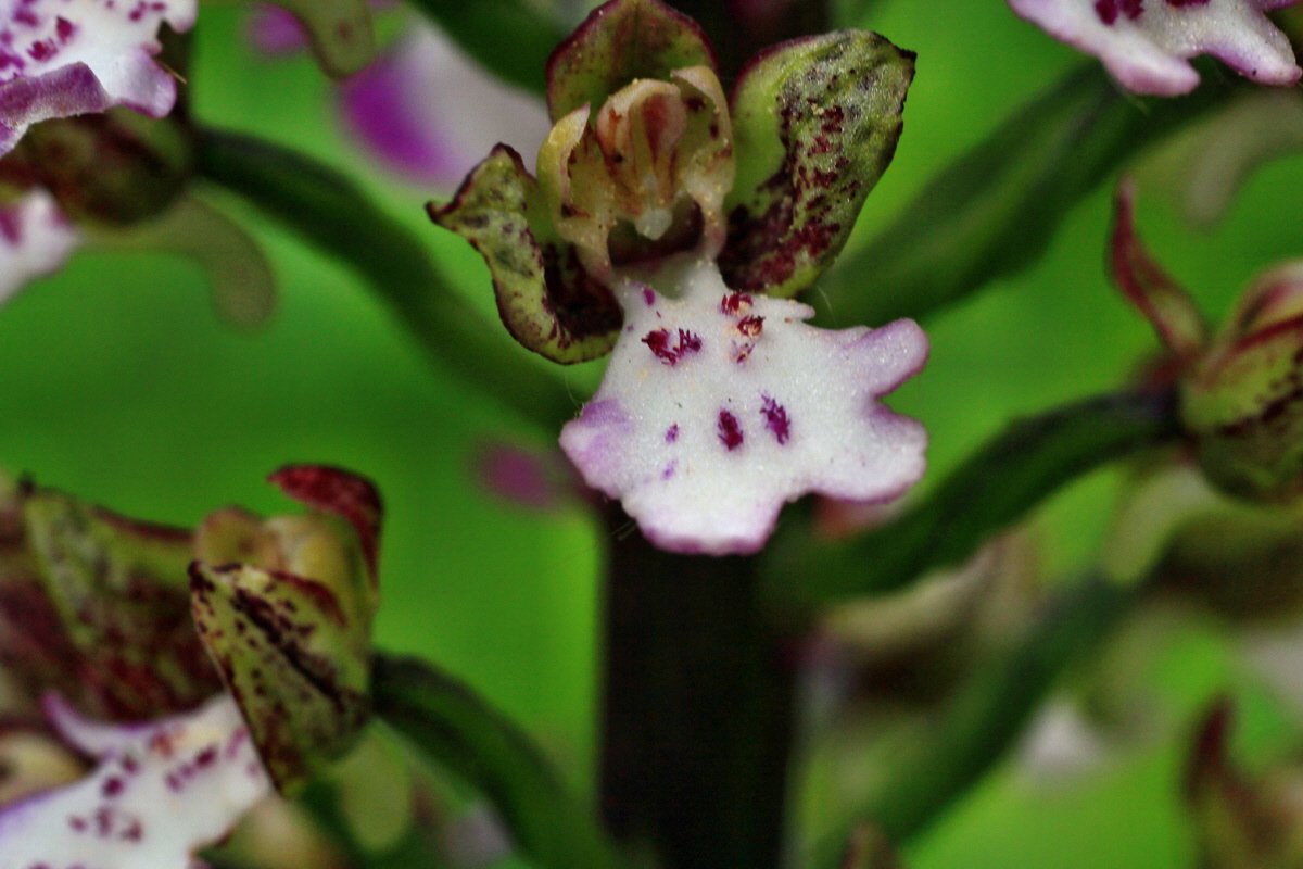 2015_05_14_00019488p_Bildgr��e �ndern