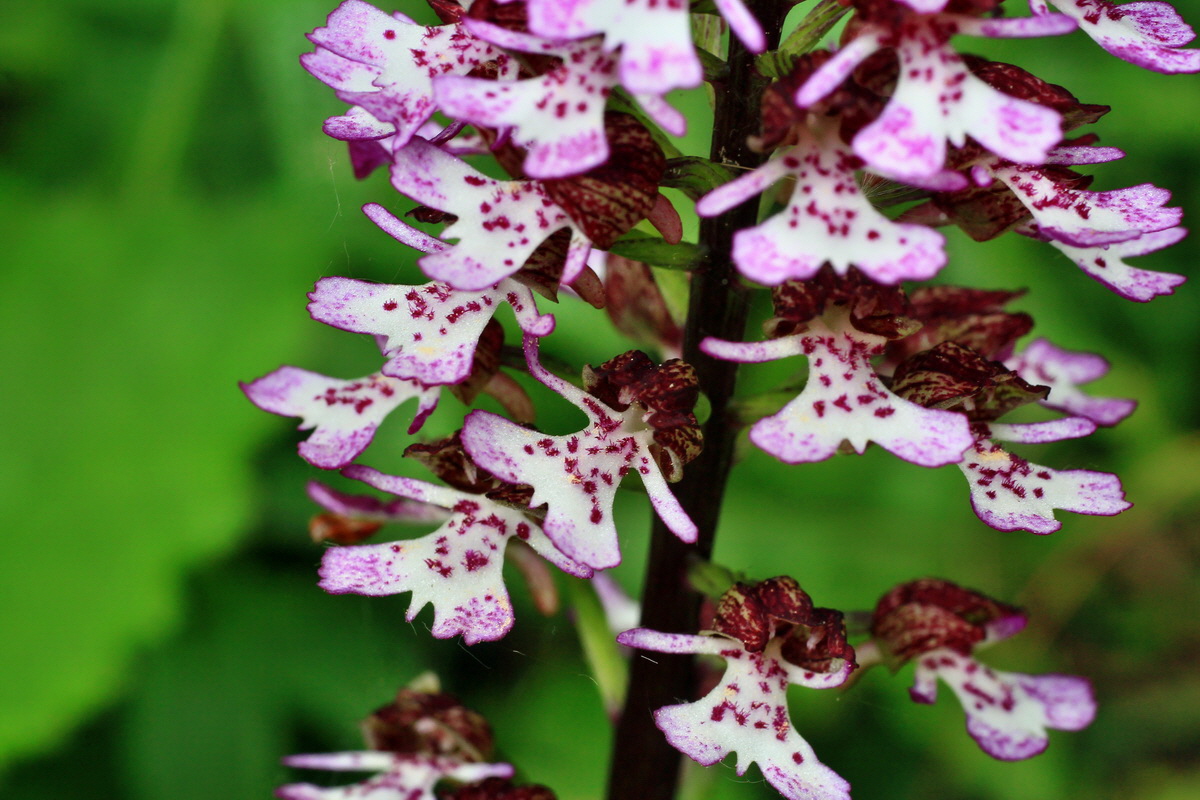 2015_05_14_00019493p_Bildgr��e �ndern