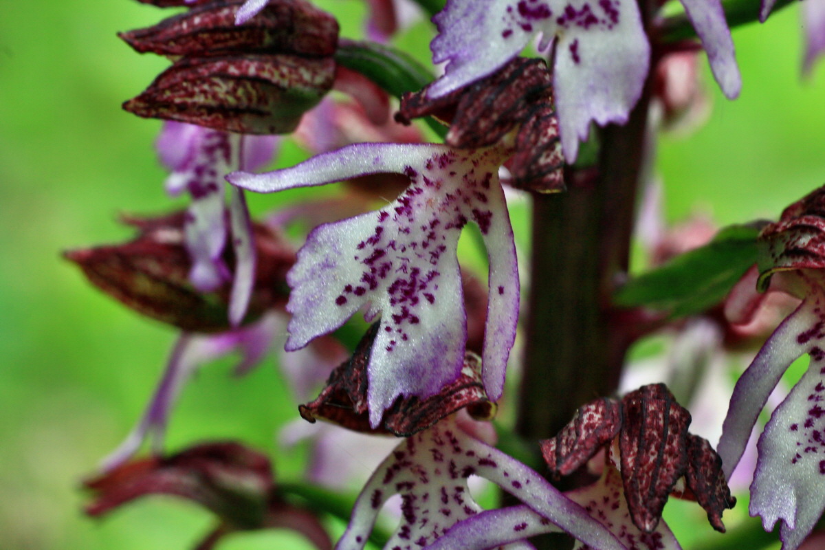 2015_05_14_00019496p_Bildgr��e �ndern