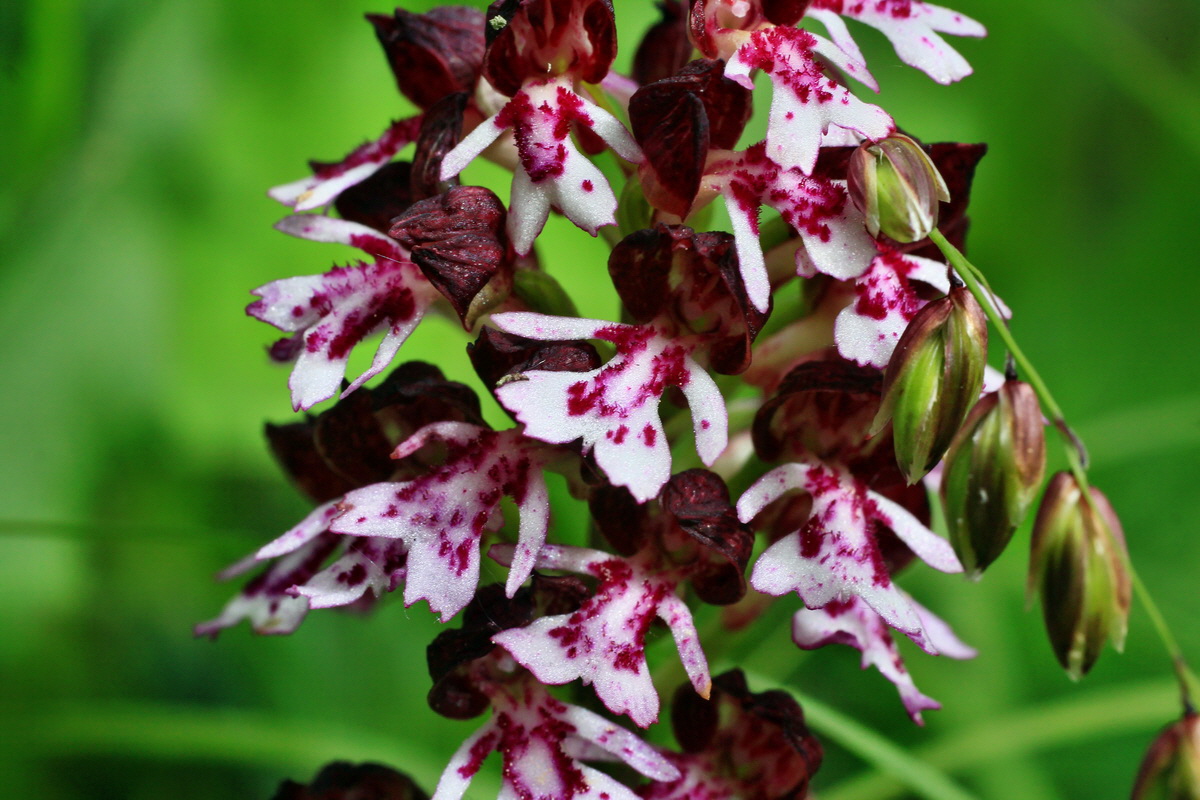 2015_05_14_00019501p_Bildgr��e �ndern