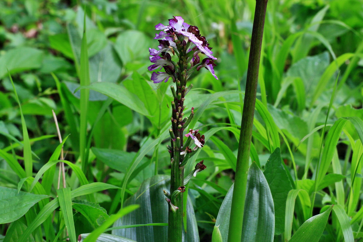 2015_05_14_00019504p_Bildgr��e �ndern