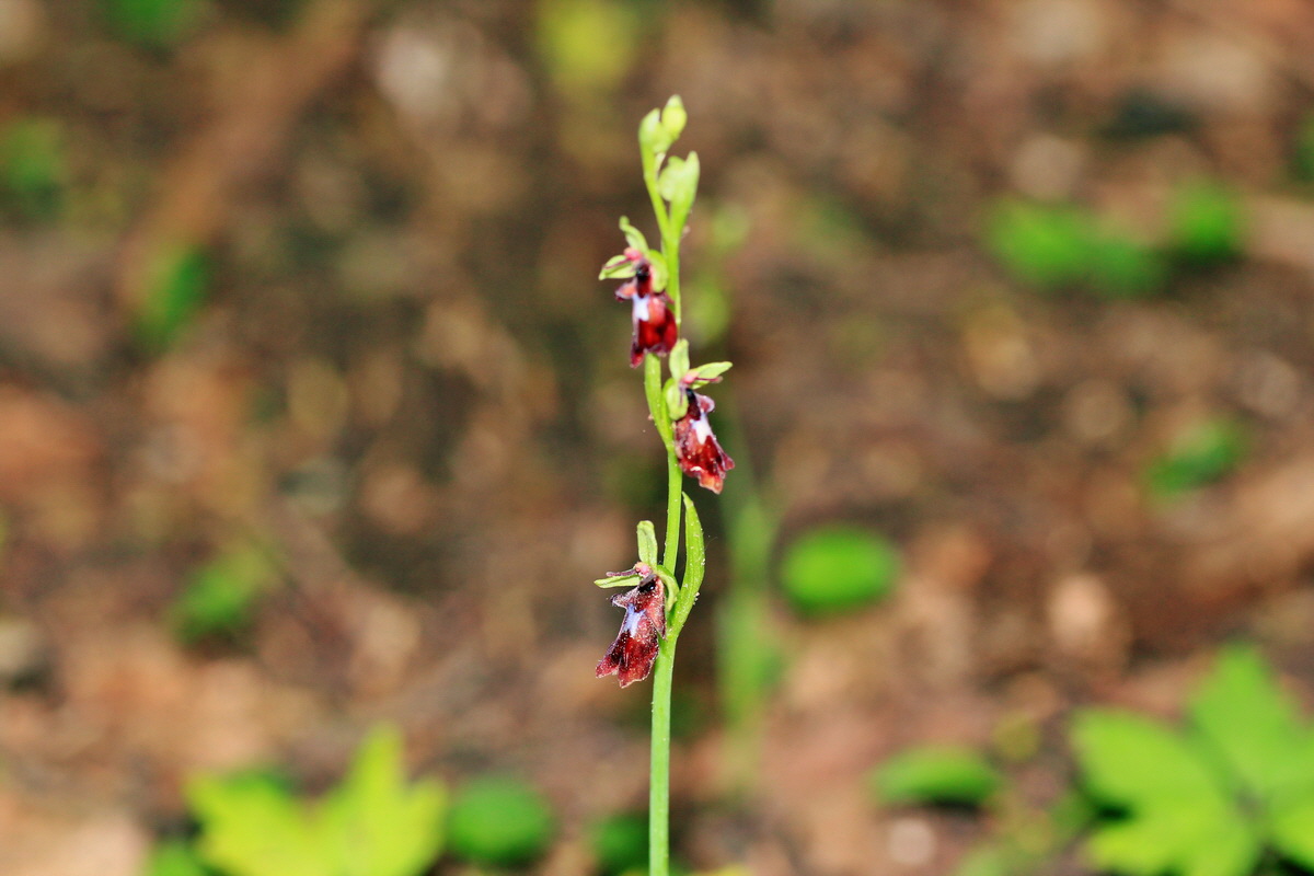 2015_05_14_00019506p_Bildgr��e �ndern