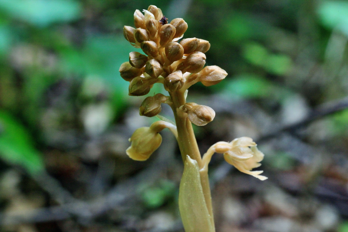 2015_05_14_00019510p_Bildgr��e �ndern