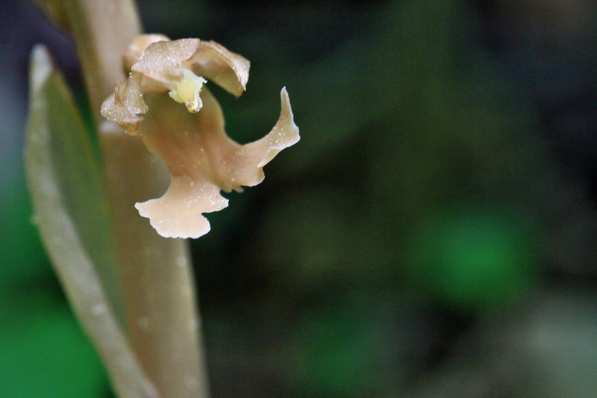 2015_05_14_00019515p_Bildgr��e �ndern