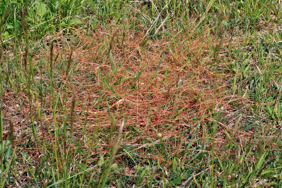 2015_05_14_00019523p_Bildgr��e �ndern