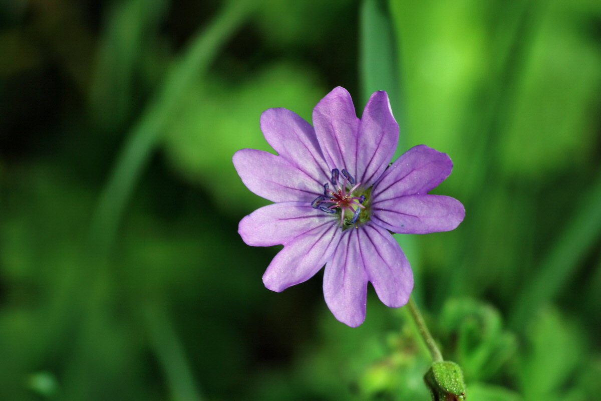 C2015_05_200237p_Bildgr��e �ndern