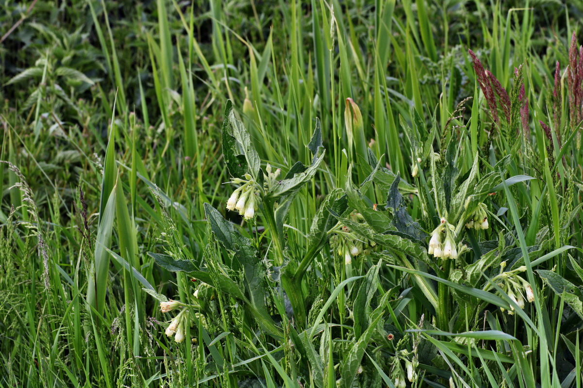 C2015_05_200240p_Bildgr��e �ndern