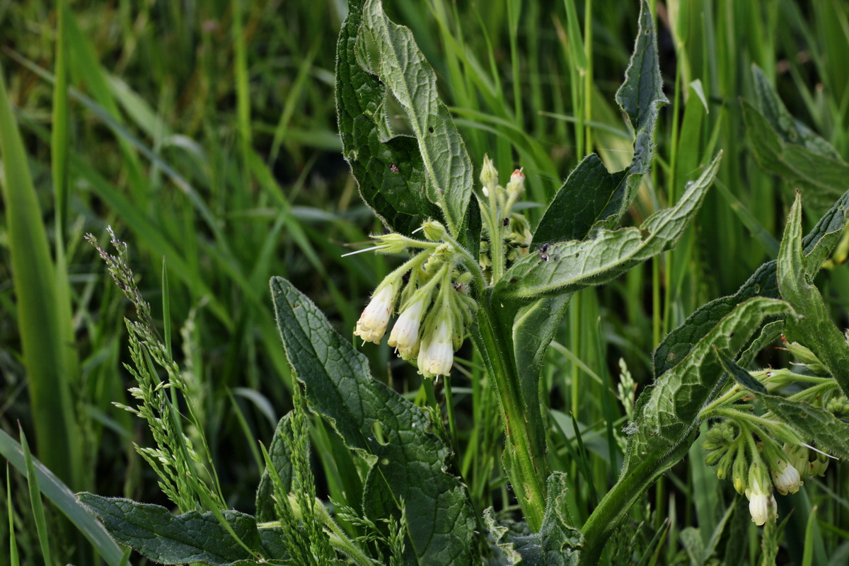 C2015_05_200241p_Bildgr��e �ndern