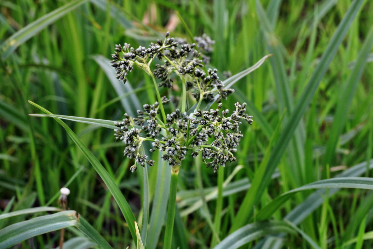 C2015_05_200243p_Bildgr��e �ndern