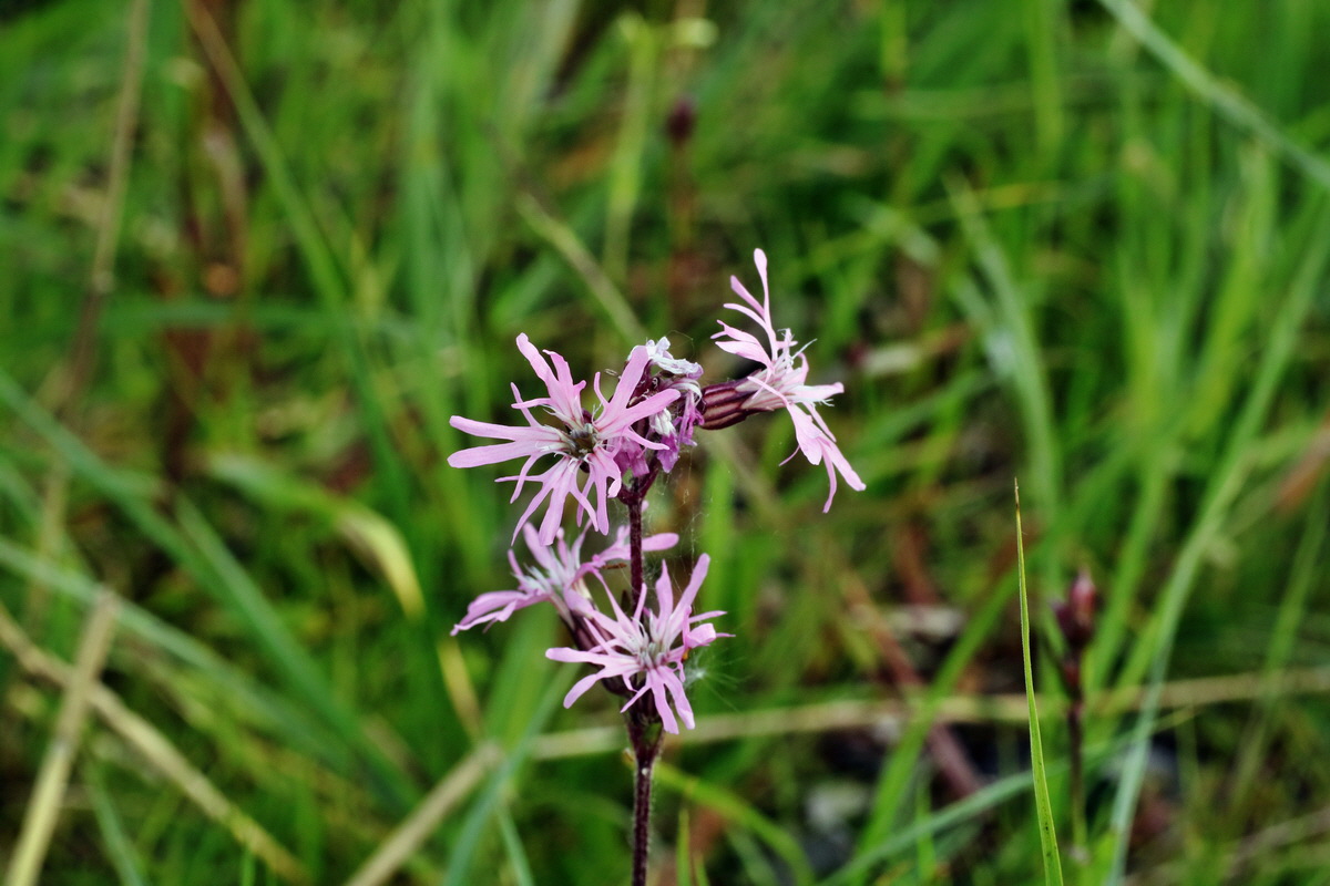 C2015_05_200247p_Bildgr��e �ndern