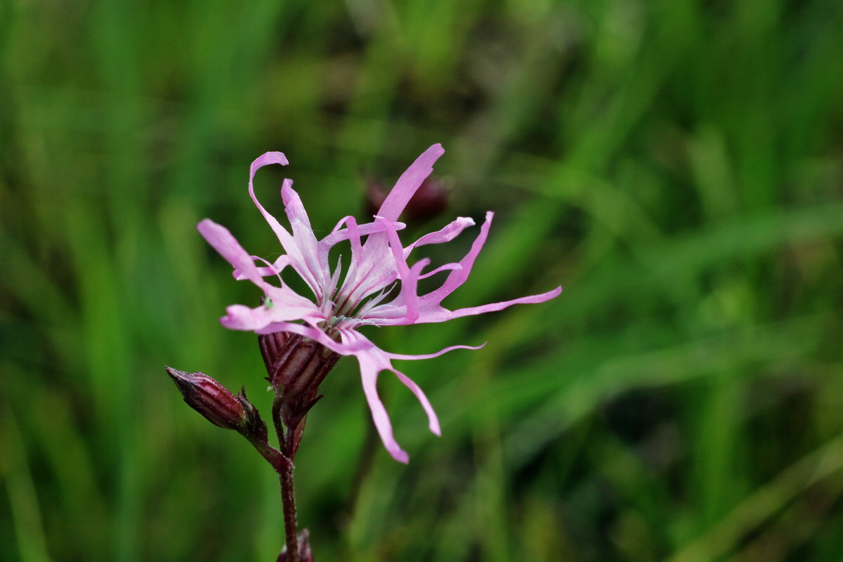 C2015_05_200249p_Bildgr��e �ndern